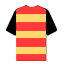Click for Partick Thistle squad list