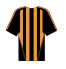 Click for Hull City squad list