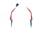 Click for Bolton Wanderers squad list