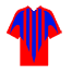Click for Crystal Palace squad list