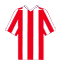 Click for Sunderland squad list