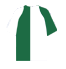 Click for Wolfsburg squad list