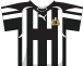 Click for Newcastle United squad list