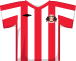 Click for Sunderland squad list