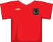 Wales shirt