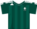 Plymouth Argyle shirt