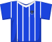Brighton & Hove Albion shirt