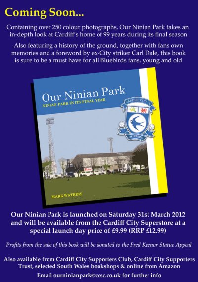 OurNinianParkFlyer