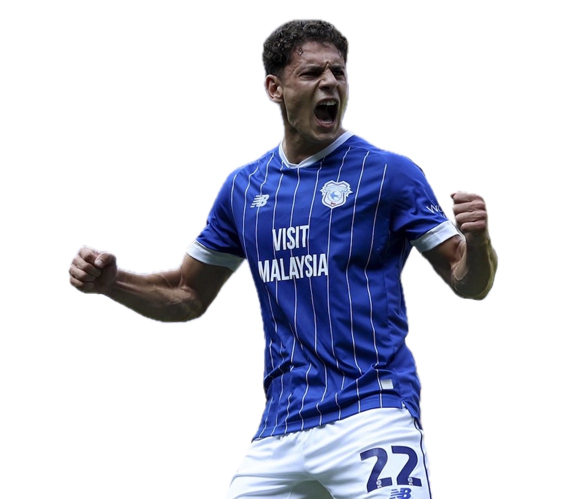 Cardiff 3 - 0 Rotherham. Comment