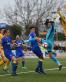 AFC Wimbledon held by Sutton in FA Cup
