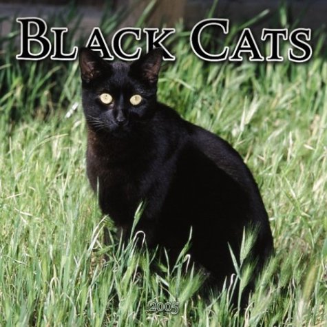 The Black cats