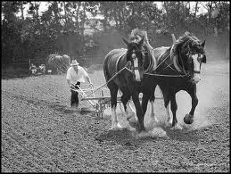 ploughing