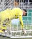 Twitter Reacts to Horrific Blunder From Brentford Goalkeeper David Raya