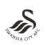 Swansea City 1-1 Barnsley