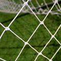 53443-t.jpg