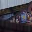 Aston Villa v Cardiff City. Preview