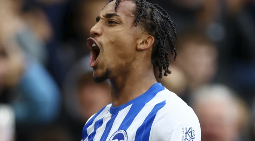 Chelsea to swoop for Newcastle target
