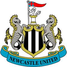 Newcastle join race for Bournemouth star